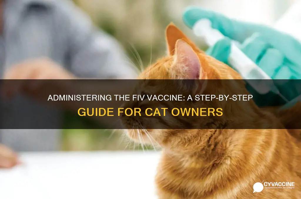 how is the fiv vaccine administered