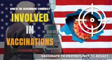 Government's Role in Vaccination Programs: Policies, Funding, and Public Health