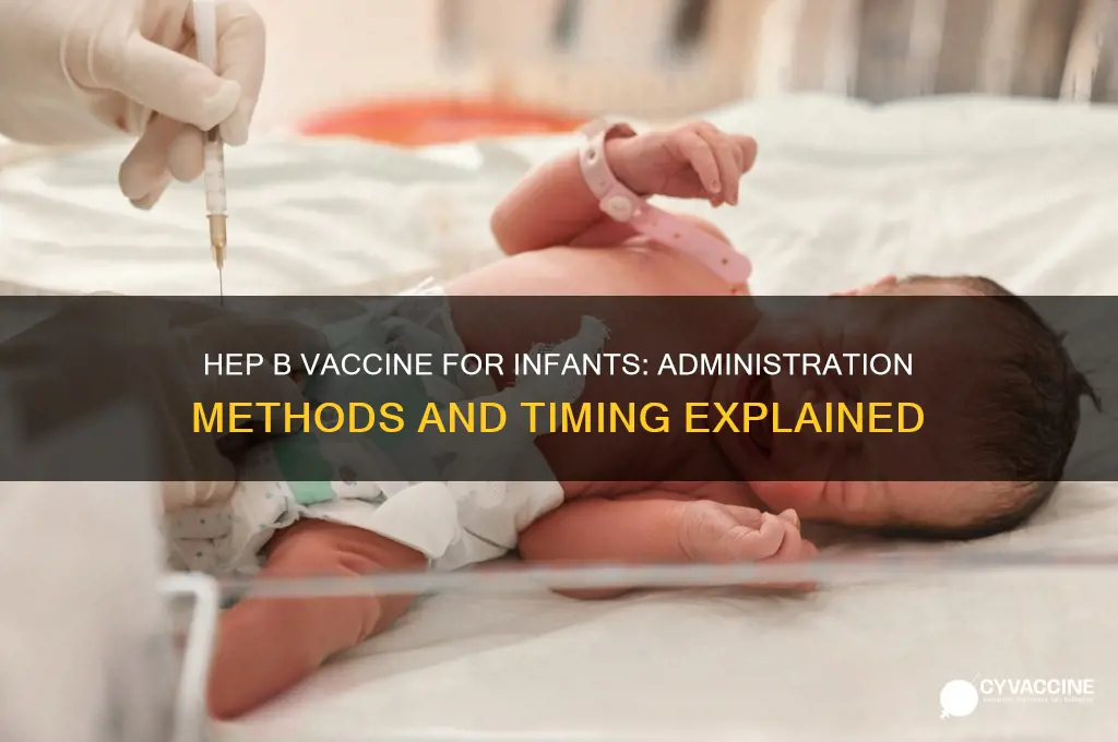 how is the hep b vaccine administered in infants