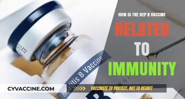 Hepatitis B Vaccine: Boosting Immunity Against Chronic Liver Infections
