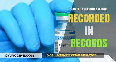 Hepatitis A Vaccine Documentation: Recording and Tracking Immunization Records