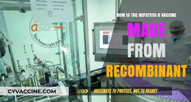 Recombinant DNA Technology: How the Hepatitis B Vaccine is Made