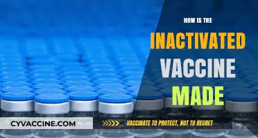 Understanding Inactivated Vaccines: A Step-by-Step Manufacturing Process Explained