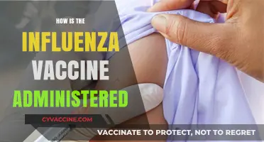 Understanding Influenza Vaccine Administration: Methods, Safety, and Best Practices