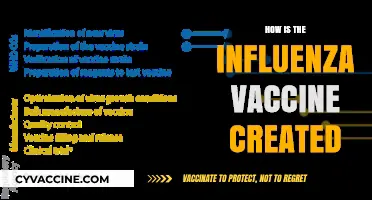 Unveiling the Science Behind Creating the Influenza Vaccine