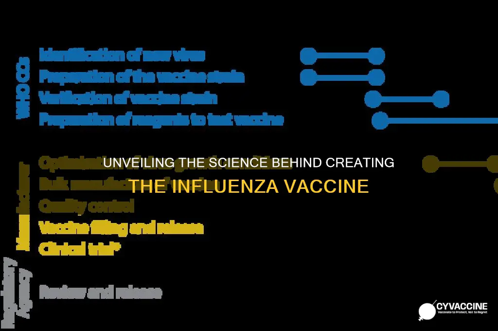 how is the influenza vaccine created