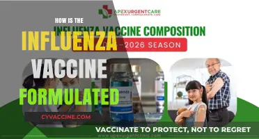 Understanding the Science Behind Influenza Vaccine Formulation Process