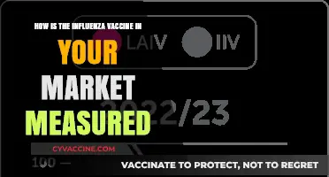 Measuring Influenza Vaccine Effectiveness: Market-Specific Metrics and Methods