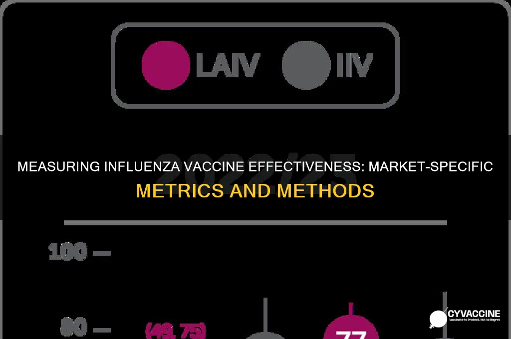 how is the influenza vaccine in your market measured