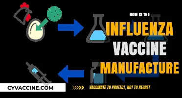 The Science Behind Influenza Vaccine Manufacturing: A Step-by-Step Guide