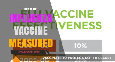 Measuring Influenza Vaccine Efficacy: Methods, Metrics, and Public Health Impact