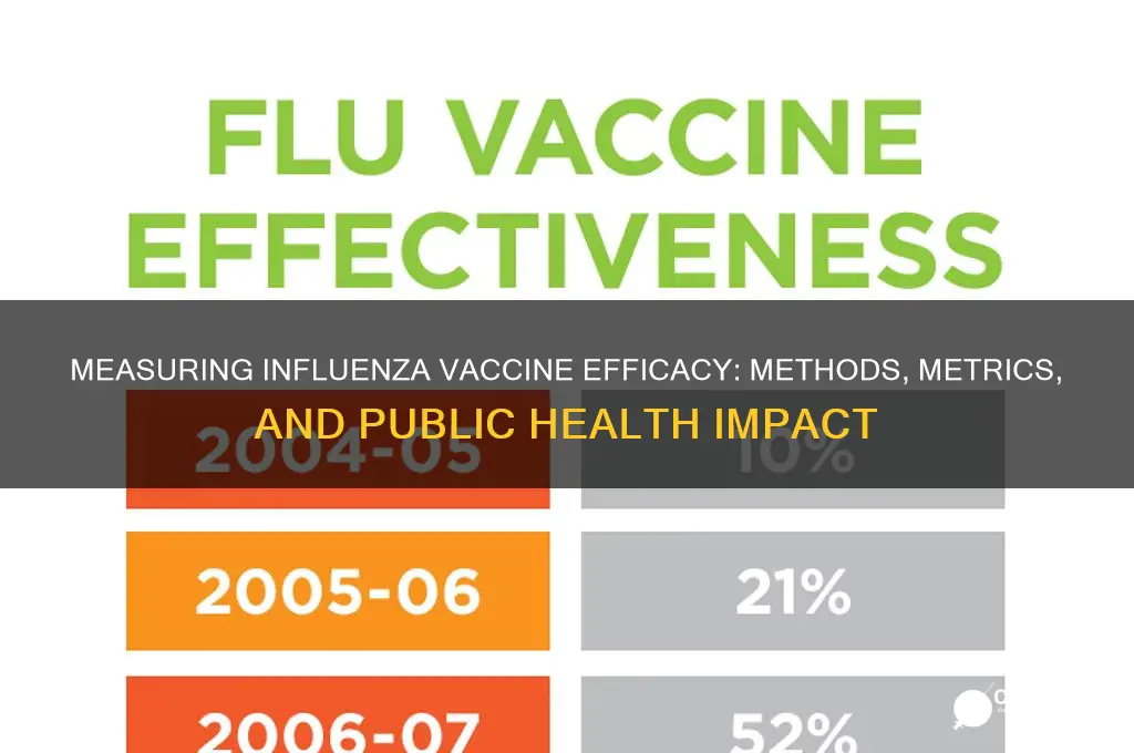how is the influenza vaccine measured