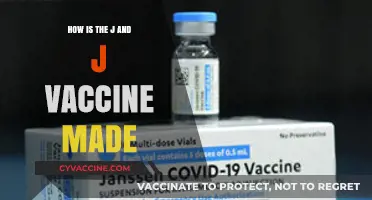 Understanding the Science Behind Johnson & Johnson's COVID-19 Vaccine Production