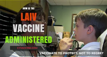 Understanding LAIV Vaccine Administration: A Step-by-Step Guide for Patients