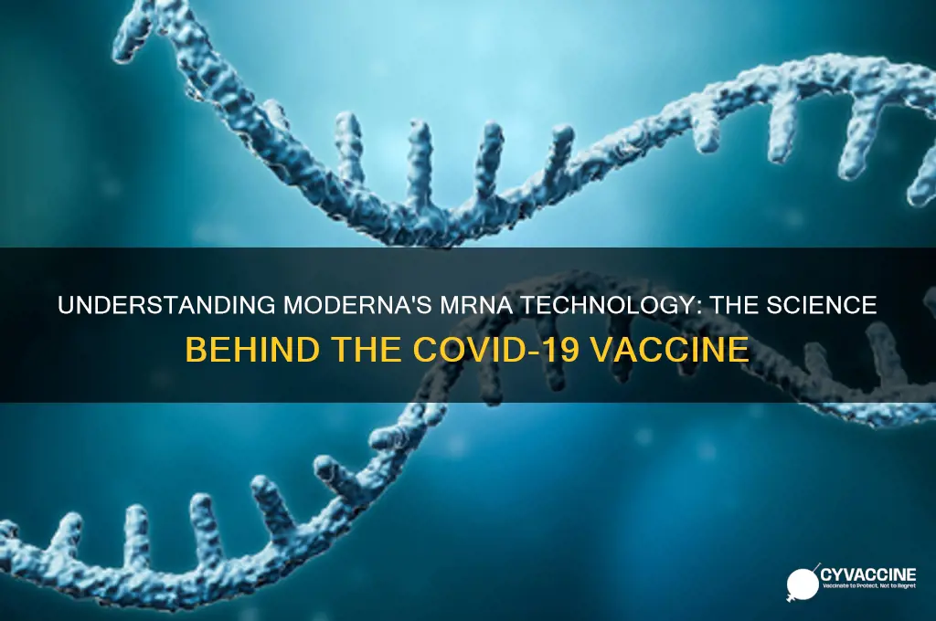 how is the maderna vaccine made