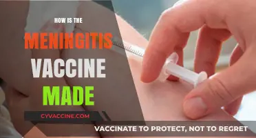 Understanding the Meningitis Vaccine: Production Process and Development
