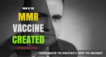 Unveiling the Science Behind the Creation of the MMR Vaccine