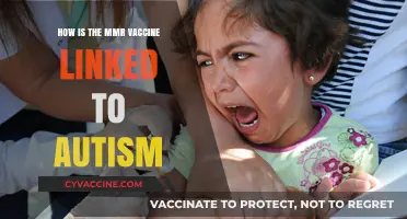 MMR Vaccine and Autism: Separating Facts from Fiction