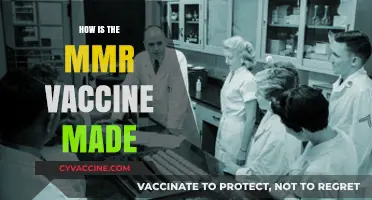 Unveiling the Science: How the MMR Vaccine is Manufactured