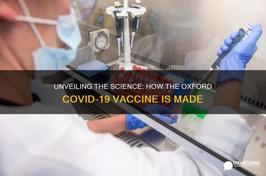 how is the oxford vaccine made