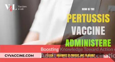 Understanding Pertussis Vaccine Administration: Methods, Dosage, and Timing Explained