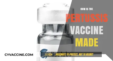 Understanding the Science Behind the Pertussis Vaccine Production Process