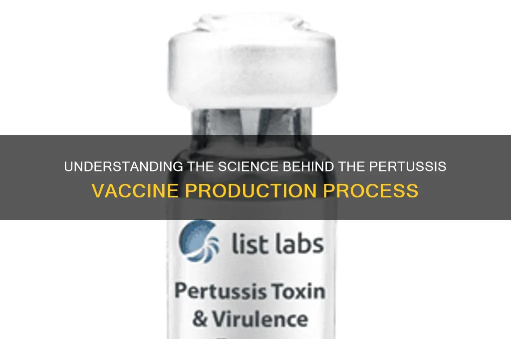 how is the pertussis vaccine made