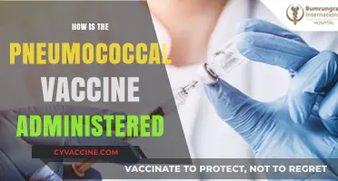 Pneumococcal Vaccine Administration: Methods, Dosage, and Injection Sites Explained