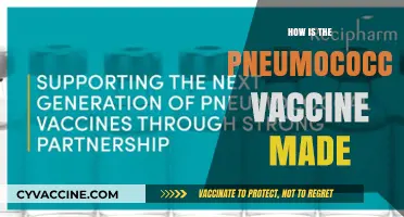 Understanding the Production Process of the Pneumococcal Vaccine