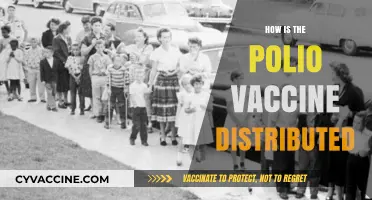 Global Polio Vaccine Distribution: Strategies, Challenges, and Success Stories