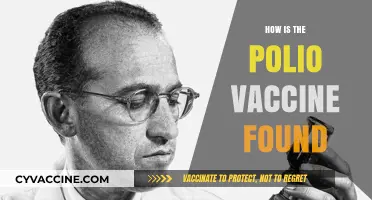 The Discovery of the Polio Vaccine: A Scientific Breakthrough