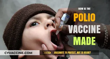 Unveiling the Process: How the Polio Vaccine is Manufactured