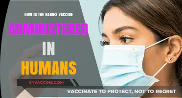 Rabies Vaccine Administration: A Guide for Humans