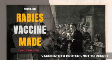 Unveiling the Science Behind Rabies Vaccine Production and Development