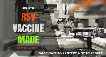 Understanding the RSV Vaccine: A Step-by-Step Manufacturing Process