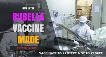 Understanding the Rubella Vaccine: A Step-by-Step Production Process