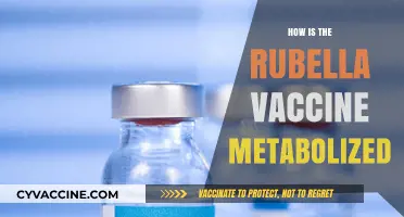 Understanding Rubella Vaccine Metabolism: A Comprehensive Breakdown of Its Process