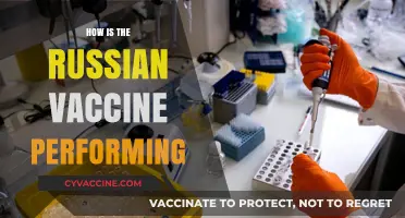 Russian Vaccine Performance: Efficacy, Global Impact, and Safety Updates