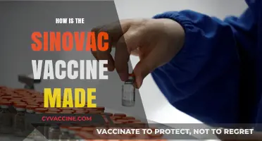 Understanding Sinovac: The Science Behind Its COVID-19 Vaccine Production