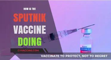 Sputnik V Vaccine: Global Impact, Efficacy, and Current Performance Updates