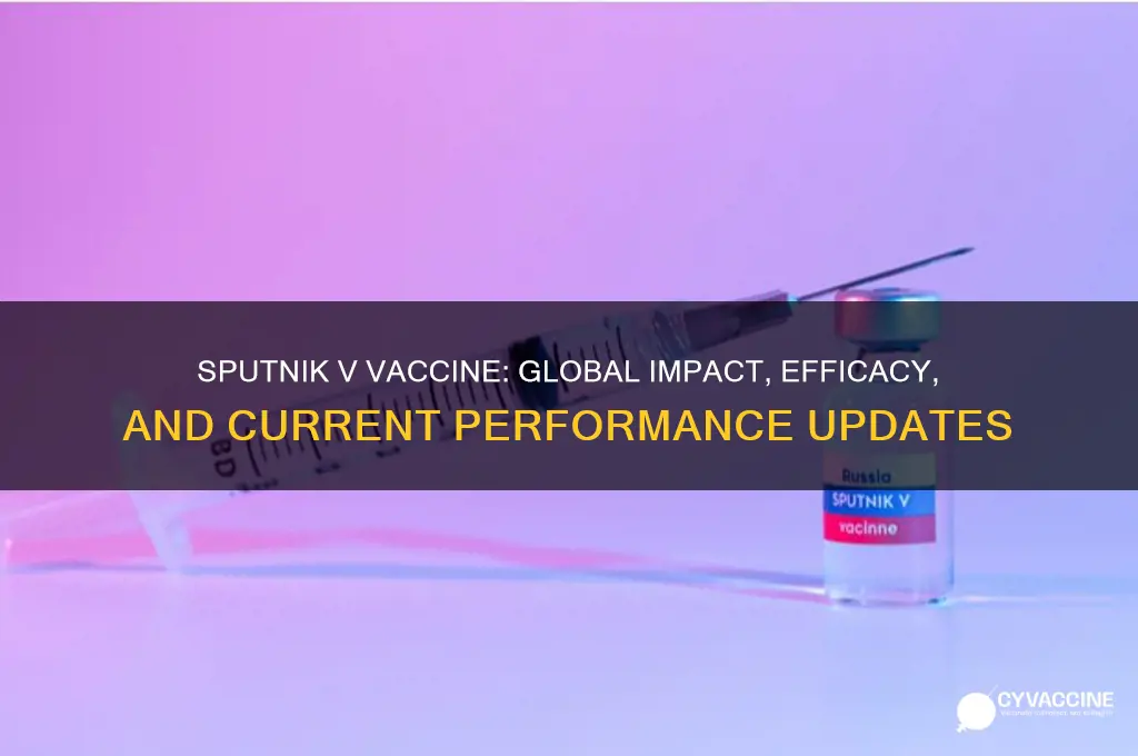 how is the sputnik vaccine doing