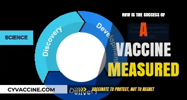 Measuring Vaccine Success: Key Metrics and Impact on Public Health