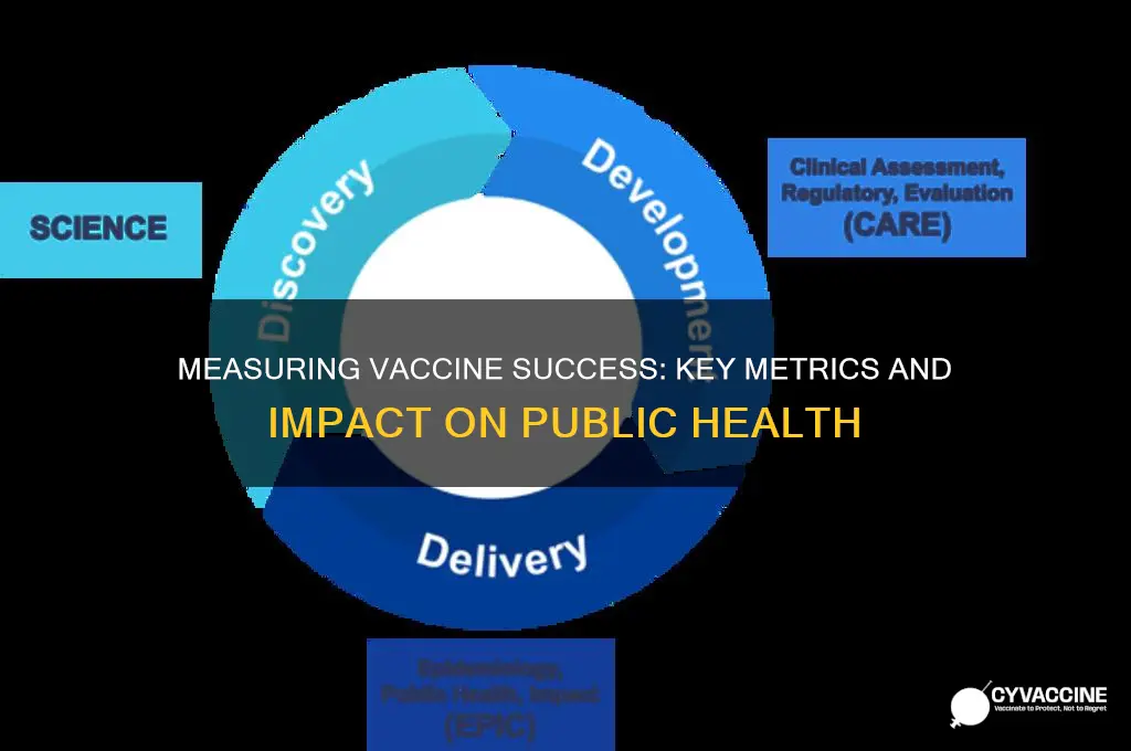 how is the success of a vaccine measured
