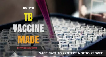 Unveiling the Science: How the TB Vaccine is Manufactured