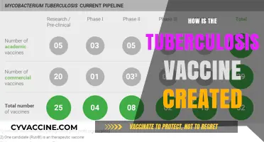 Unveiling the Science Behind Developing the Tuberculosis Vaccine