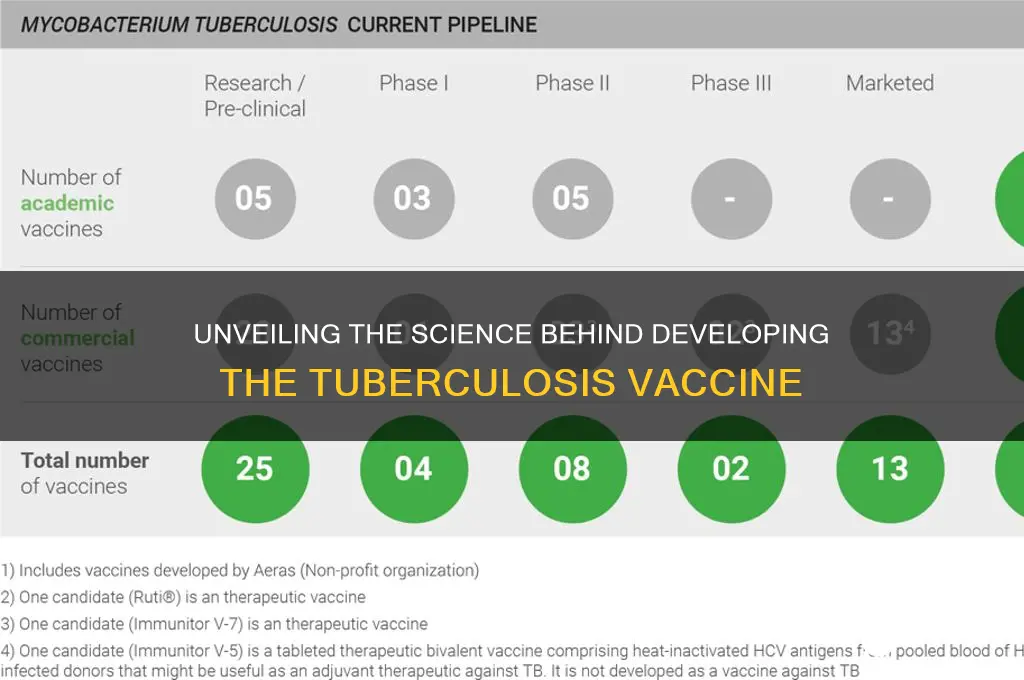 how is the tuberculosis vaccine created