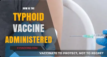 Understanding Typhoid Vaccine Administration: Methods, Dosage, and Safety Tips