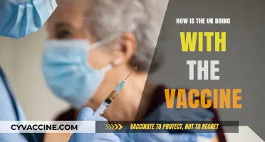 UK's Vaccine Rollout: Progress, Challenges, and Future Outlook