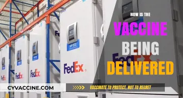 Efficient Vaccine Delivery: Strategies, Logistics, and Global Distribution Explained