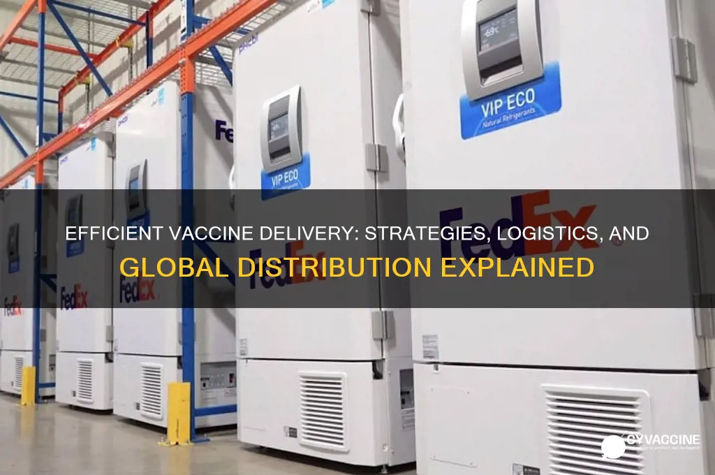 how is the vaccine being delivered